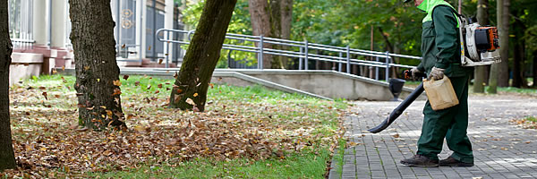 Servicio de Limpieza y Mantenimiento de Zonas Verdes en Montevideo