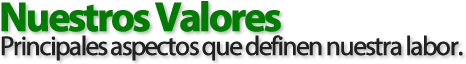 Nuestros Valores - PERFIL S.A. Servicios de Limpieza